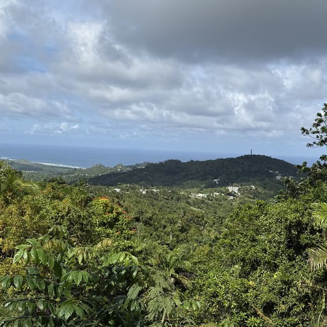 Green hills and the coast
