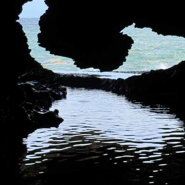 Animal Flower Cave pool