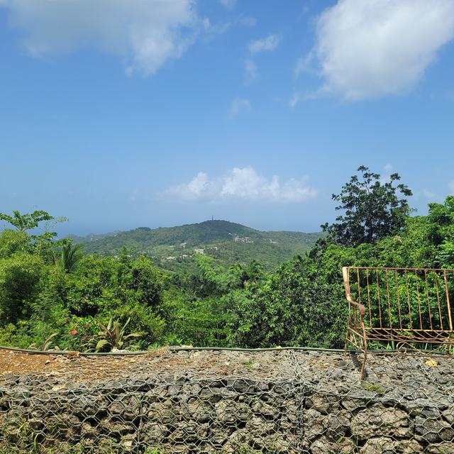 Hillside view of the island